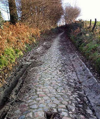 koppenberg_3.jpg