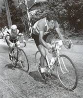 Cycling Revealed Cycling Revealed
